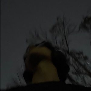 Meet your Posher, Vincent